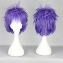 Hakkenden Touhou Hakken Ibun Inutuska Shino cosplay wig