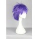 Hakkenden Touhou Hakken Ibun Inutuska Shino cosplay wig