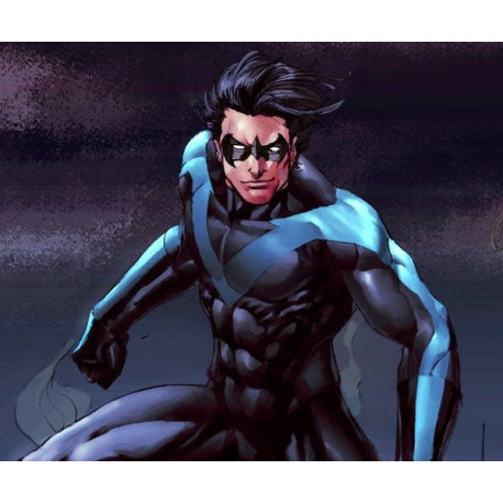 Commission Request Nightwing Cosplay Costume