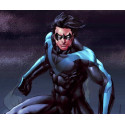 Commission Request Nightwing Cosplay Costume